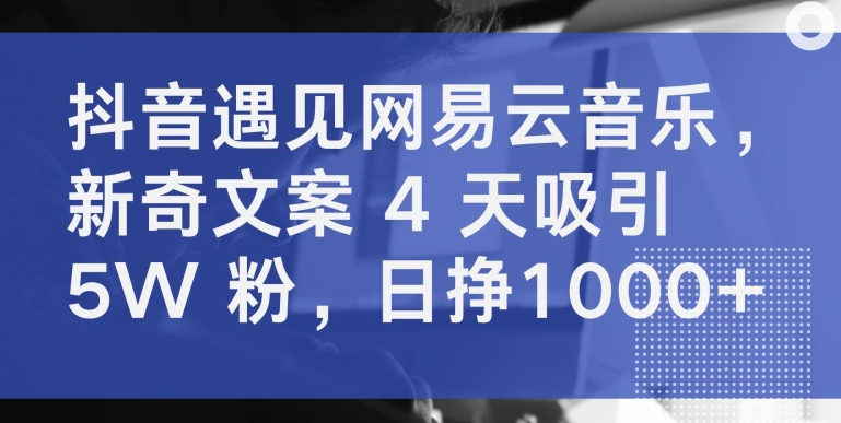 抖音遇见网易云音乐，新奇文案 4 天吸引 5W 粉，日挣1000+【揭秘】_泡桐学堂