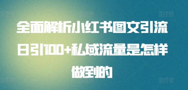 全面解析小红书图文引流日引100+私域流量是怎样做到的【揭秘】_泡桐学堂