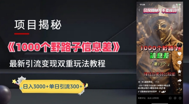 一千个野路子信息差最新玩法教程-变现+引流的玩法具体拆解【揭秘】_泡桐学堂