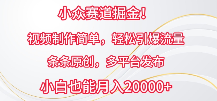 小众赛道掘金，视频制作简单，轻松引爆流量，条条原创，多平台发布【揭秘】_泡桐学堂