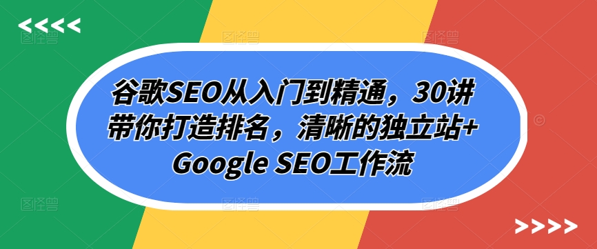 谷歌SEO从入门到精通，30讲带你打造排名，清晰的独立站+Google SEO工作流_泡桐学堂