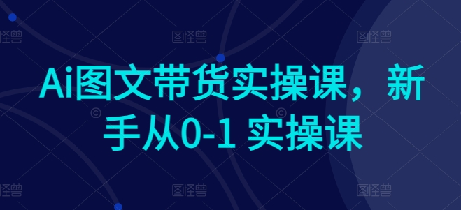 Ai图文带货实操课，新手从0-1 实操课_泡桐学堂