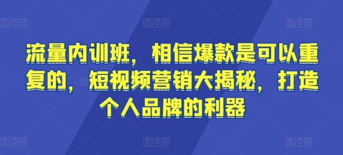 流量内训班，相信爆款是可以重复的，短视频营销大揭秘，打造个人品牌的利器_泡桐学堂