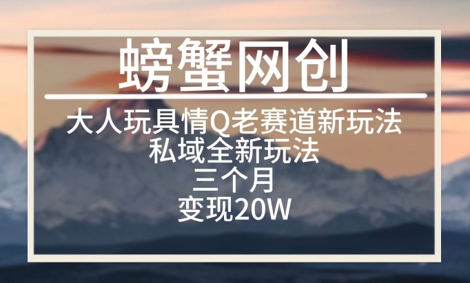 大人玩具情Q用品赛道私域全新玩法，三个月变现20W，老项目新思路【揭秘】_泡桐学堂