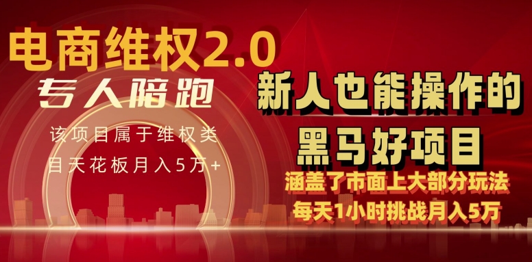 电商维权 4.0 如何做到月入 5 万+每天 1 小时新人也能快速上手【仅揭秘】_泡桐学堂