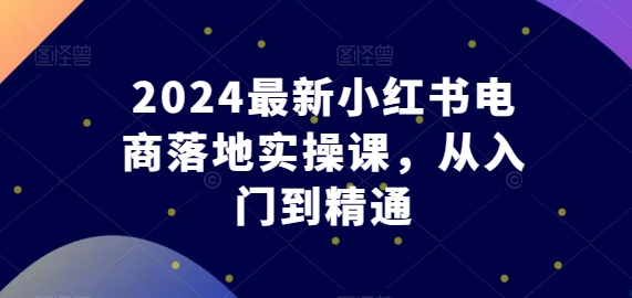 2024最新小红书电商落地实操课，从入门到精通_泡桐学堂