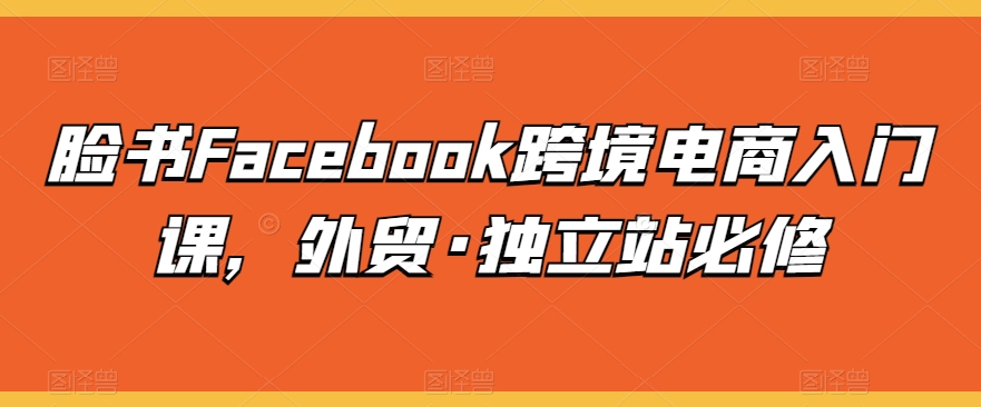 脸书Facebook跨境电商入门课，外贸·独立站必修_泡桐学堂