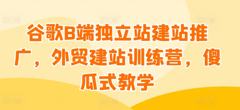 谷歌B端独立站建站推广，外贸建站训练营，傻瓜式教学_泡桐学堂