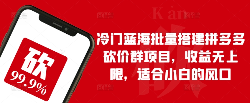 冷门蓝海批量搭建拼多多砍价群项目，收益无上限，适合小白的风口【揭秘】_泡桐学堂