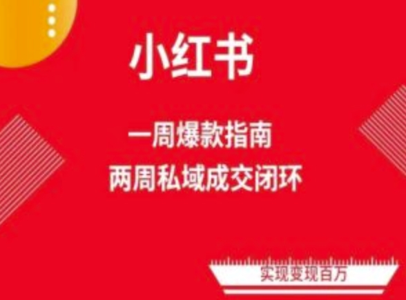 爆款小红书免费流量体系课程(两周变现)，小红书电商教程_泡桐学堂