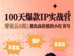 小红书100天爆款IP实战营，带你从0到1做出高价值的小红书号_泡桐学堂