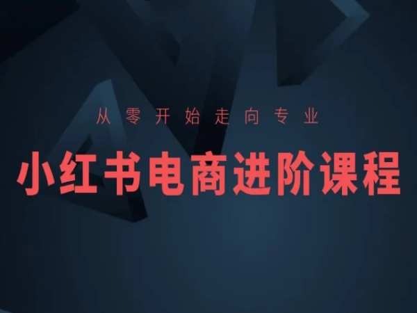 从零开始走向专业，小红书电商进阶课程_泡桐学堂