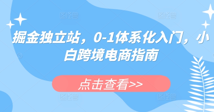 掘金独立站，0-1体系化入门，小白跨境电商指南_泡桐学堂