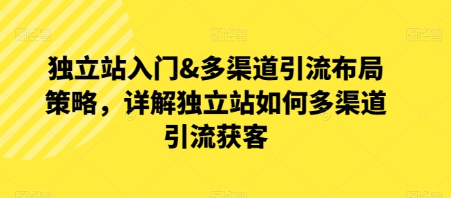 独立站入门&多渠道引流布局策略，详解独立站如何多渠道引流获客_泡桐学堂