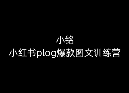 小铭-小红书plog爆款图文训练营，教你从0-1做小红书_泡桐学堂
