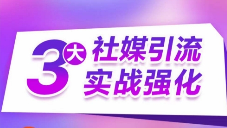 3大社媒引流实战强化，多渠道站外引流，高效精准获客，订单销售额翻倍增长_泡桐学堂