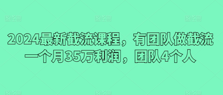 2024最新截流课程，有团队做截流一个月35万利润，团队4个人_泡桐学堂