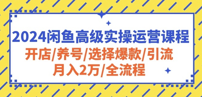 2024闲鱼高级实操运营课程：开店/养号/选择爆款/引流/月入2万/全流程_泡桐学堂