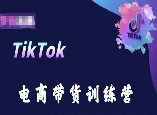 TikTok电商带货训练营，跟随时代潮流，跨境掘金_泡桐学堂
