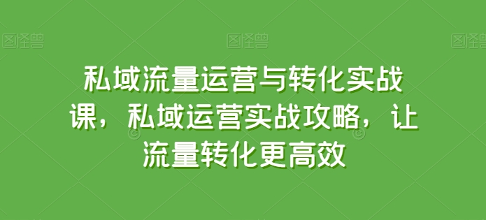 私域流量运营与转化实战课，私域运营实战攻略，让流量转化更高效_泡桐学堂