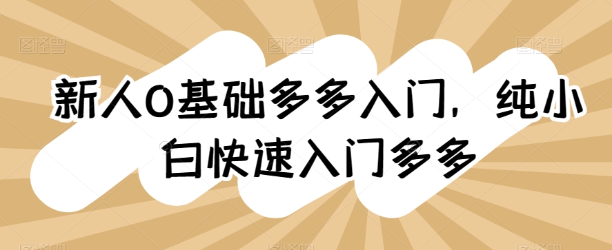 新人0基础多多入门，​纯小白快速入门多多_泡桐学堂
