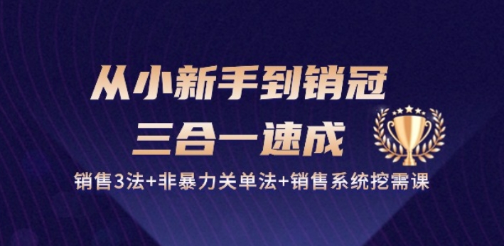 从小新手到销冠 三合一速成：销售3法+非暴力关单法+销售系统挖需课 (27节)_泡桐学堂