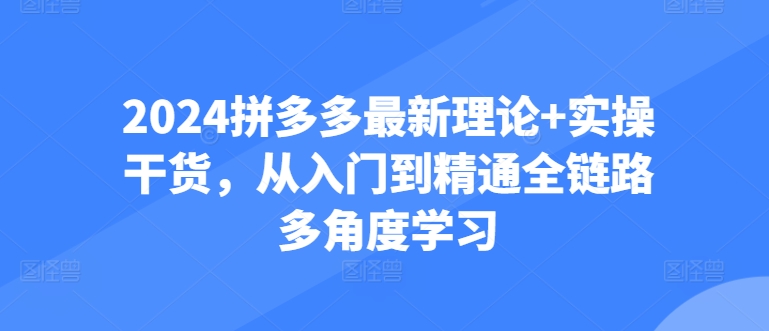 2024拼多多最新理论+实操干货，从入门到精通全链路多角度学习_泡桐学堂