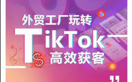 外贸工厂玩转TikTok高效获客，多种引流方式与账号定位技巧，拆解爆款短视频打造成功案例_泡桐学堂