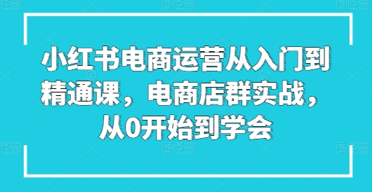 小红书电商运营从入门到精通课，电商店群实战，从0开始到学会_泡桐学堂