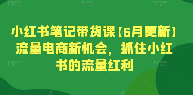 小红书笔记带货课【6月更新】流量电商新机会，抓住小红书的流量红利_泡桐学堂