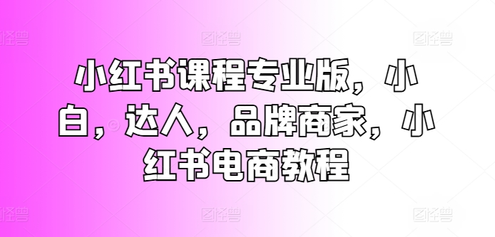小红书课程专业版，小白，达人，品牌商家，小红书电商教程_泡桐学堂