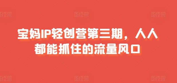 宝妈IP轻创营第三期，人人都能抓住的流量风口_泡桐学堂