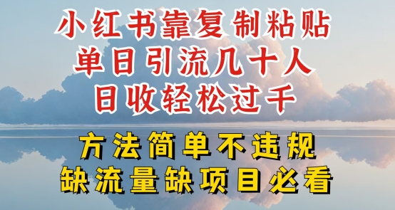 小红书靠复制粘贴单日引流几十人目收轻松过千，方法简单不违规【揭秘】_泡桐学堂