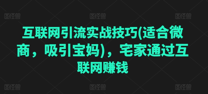 互联网引流实战技巧(适合微商，吸引宝妈)，宅家通过互联网赚钱_泡桐学堂