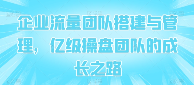 企业流量团队搭建与管理，亿级操盘团队的成长之路_泡桐学堂
