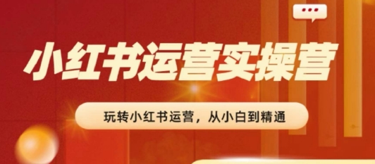 2024小红书运营实操营，​从入门到精通，完成从0~1~100_泡桐学堂