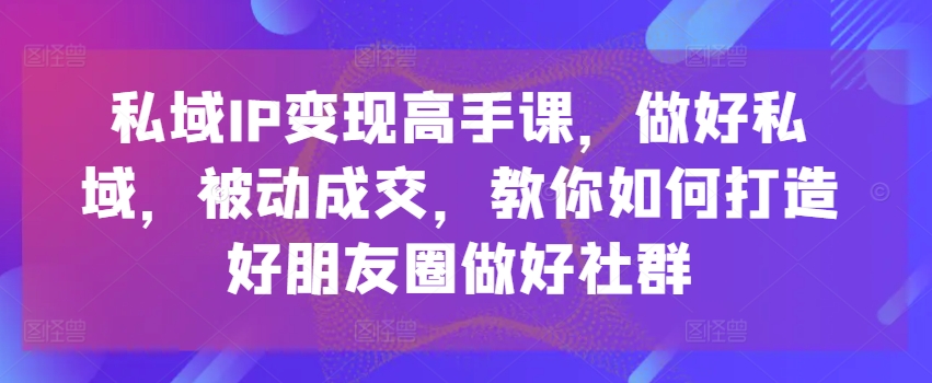 私域IP变现高手课，做好私域，被动成交，教你如何打造好朋友圈做好社群_泡桐学堂