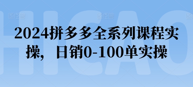 2024拼多多全系列课程实操，日销0-100单实操【必看】_泡桐学堂