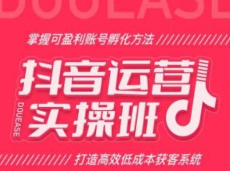 抖音运营实操班，掌握可盈利账号孵化方法，打造高效低成本获客系统_泡桐学堂