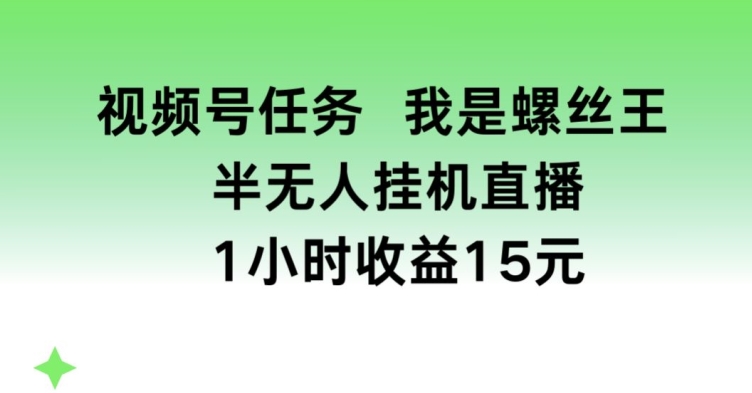 视频号任务，我是螺丝王， 半无人挂机1小时收益15元【揭秘】_泡桐学堂