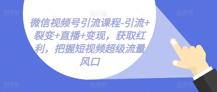 微信视频号引流课程-引流+裂变+直播+变现，获取红利，把握短视频超级流量风口_泡桐学堂