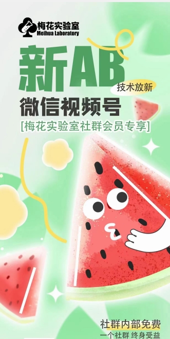 梅花实验室2024年AB技术视频号AB合成破解版_泡桐学堂