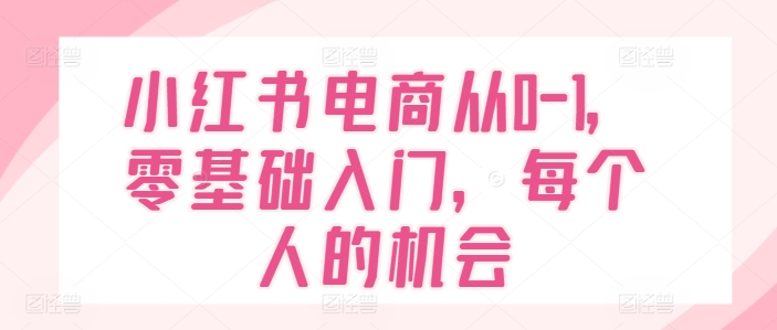 小红书电商从0-1，零基础入门，每个人的机会_泡桐学堂