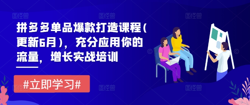 拼多多单品爆款打造课程(更新6月)，充分应用你的流量，增长实战培训_泡桐学堂