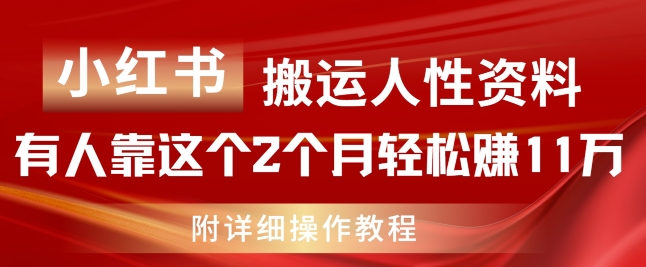 小红书搬运人性资料，有人靠这个2个月轻松赚11w，附教程【揭秘】_泡桐学堂