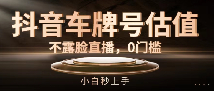 抖音车牌号估值，不露脸直播，0门槛，小白秒上手【揭秘】_泡桐学堂