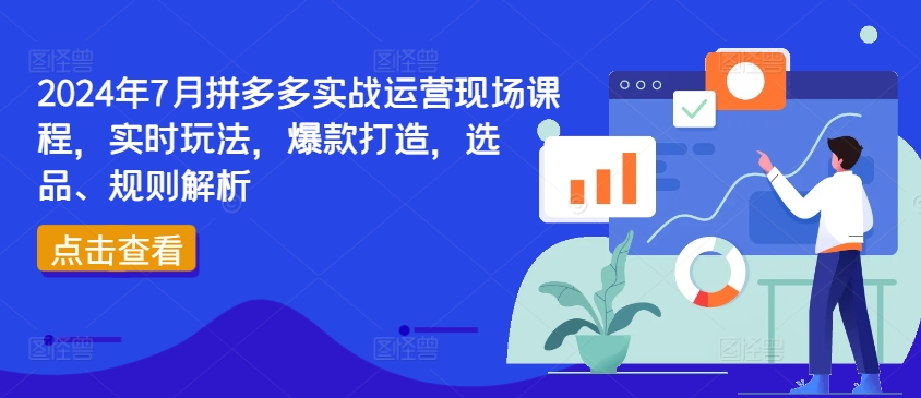 2024年7月拼多多实战运营现场课程，实时玩法，爆款打造，选品、规则解析_泡桐学堂