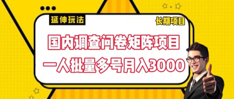 国内调查问卷矩阵项目，一人批量多号月入3000【揭秘】_泡桐学堂