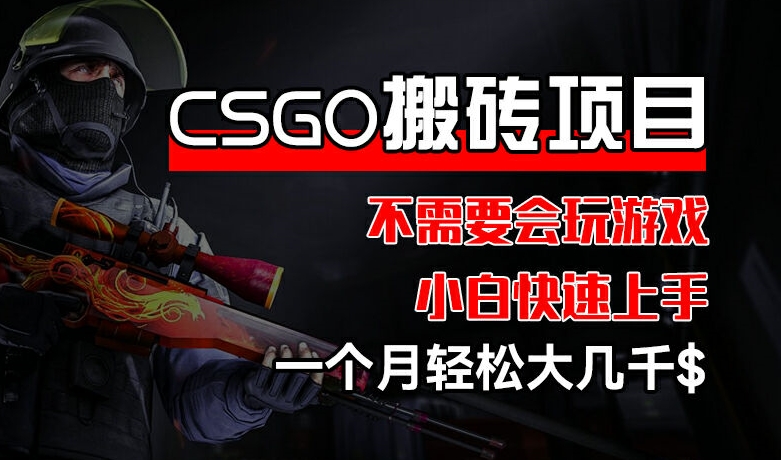 CSGO 装备搬砖项目，操作简单，不需要会玩游戏，小白也能快速上手，一个月轻松大几千【揭秘】_泡桐学堂