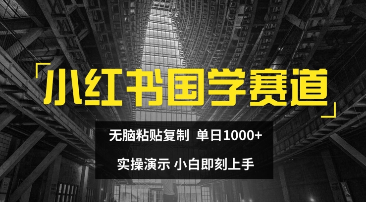 小红书国学赛道，无脑粘贴复制，单日1K，实操演示，小白即刻上手【揭秘】_泡桐学堂